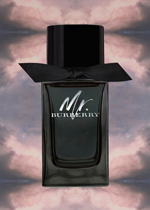 Burberry Mr. Burberry Eau de Parfum