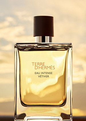 Hermes Terre d'Hermes Eau Intense Vetiver