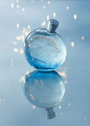 Hermes Eau des Merveilles Bleue EDT