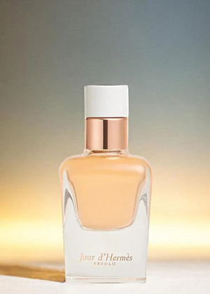 Hermes Jour d`Hermes Absolu