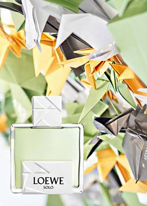Loewe Solo Loewe Origami EDT