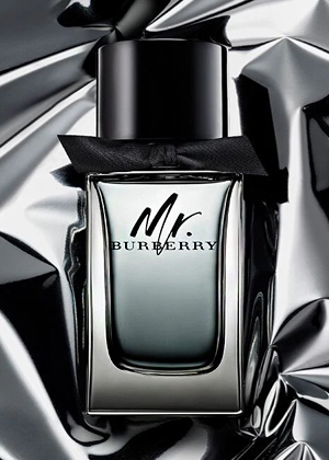 Burberry Mr. Burberry Eau de Toilette