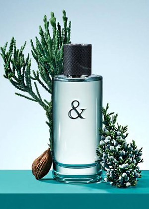 Tiffany & Co Love For Him EDT