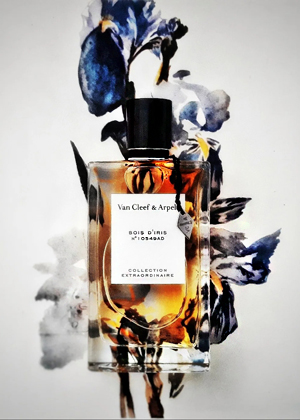 Van Cleef & Arpels Bois D’Iris EDP
