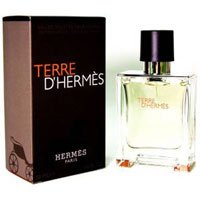 Terre D`Hermes EDT 100 ml spray