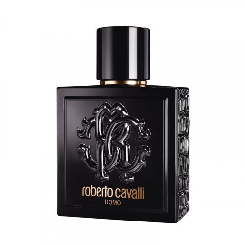 Roberto Cavalli Uomo TESTER EDT 100 ml spray