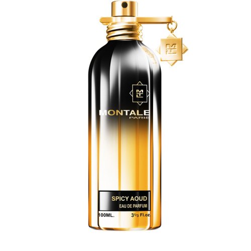 Montale Spicy Aoud TESTER EDP 100 ml spray